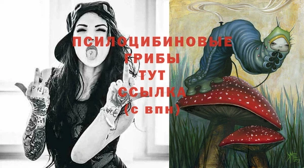 индика Балахна
