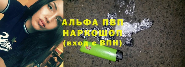 индика Балахна