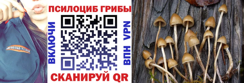 Галлюциногенные грибы мицелий  даркнет сайт  мега рабочий сайт  Каспийск 