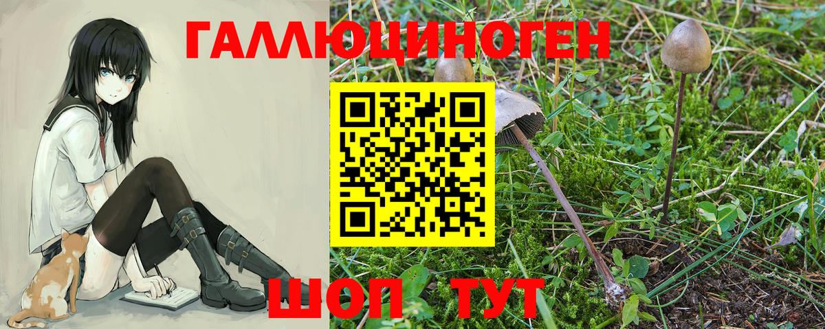 Каспийск  Псилоцибиновые грибы ЛСД  Псилоцибиновые грибы Psilocybe  где можно купить   Вход с VPN 
